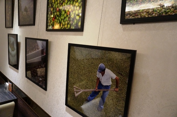 Lotty Cafe：Lotty Cafe 綠蒂咖啡：自家烘培單品咖啡／甜點／三明治