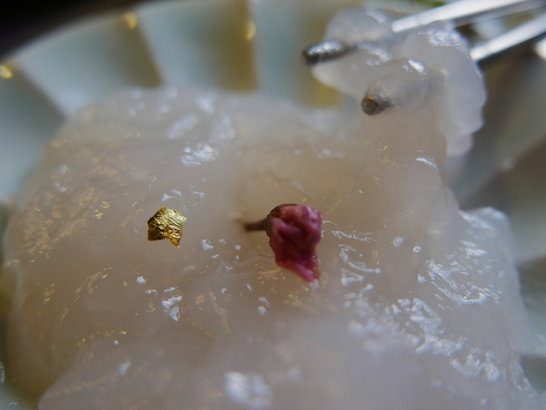 PURPLE Matcha Salon：1041021[官本金文愛台灣]二訪台中市西區THE ONE草悟道誠品綠園道商圈PURPLE Matcha Salon美味的抹茶貴妃凍飲抹茶控繼續尖叫吧平價消費高檔享受CP值超高