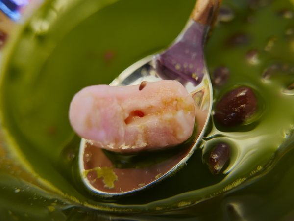 PURPLE Matcha Salon：1041020[官本金文愛台灣]台中市西區THE ONE草悟道誠品綠園道商圈PURPLE Matcha Salon台中第四家正宗抹茶店開張抹茶控尖叫吧