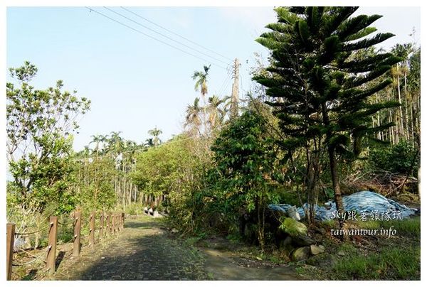 天秀山莊：古坑與山林共眠【古坑華山天秀山莊民宿】