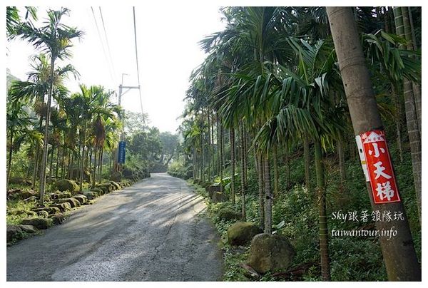 天秀山莊：古坑與山林共眠【古坑華山天秀山莊民宿】
