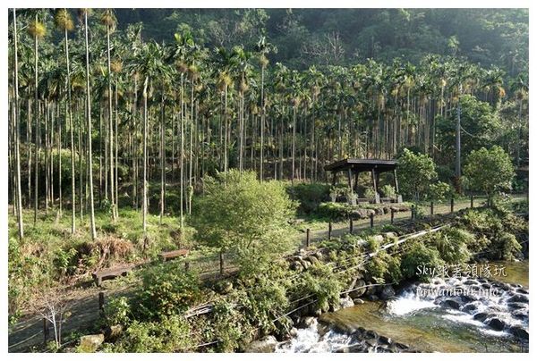 天秀山莊：古坑與山林共眠【古坑華山天秀山莊民宿】