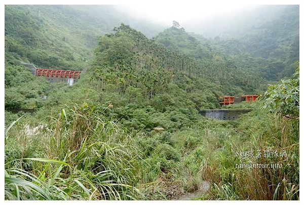 天秀山莊：古坑與山林共眠【古坑華山天秀山莊民宿】