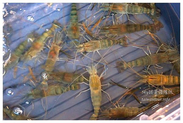 竹北鮮之屋海鮮碳烤：C/P值爆表碳烤活海鮮【竹北鮮之屋】