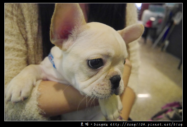 【新竹食記】竹北宵夜碳烤海鮮。鮮之屋生猛海鮮