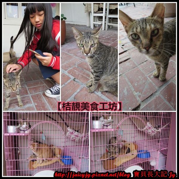 桔靚美食工枋：【嘉義/朴子美食】【桔靚美食工坊】公園巷弄中 ❤ 輕鬆品嚐平價美味的義式.焗烤.家庭.風味鍋料理