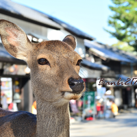 前往 Banbi 斑比 的 styleMe 個人頁