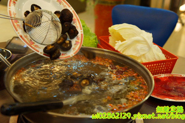 食紳枸尾雞：【台南-北區】養生x雞火鍋...豬油麵線/埔里香菇/鴕鳥肉/無基改豆腐《食紳枸尾雞》