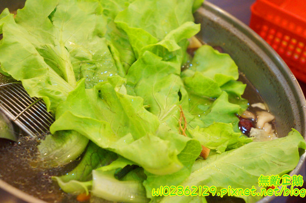 食紳枸尾雞：【台南-北區】養生x雞火鍋...豬油麵線/埔里香菇/鴕鳥肉/無基改豆腐《食紳枸尾雞》