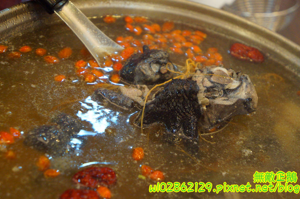 食紳枸尾雞：【台南-北區】養生x雞火鍋...豬油麵線/埔里香菇/鴕鳥肉/無基改豆腐《食紳枸尾雞》