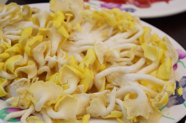 食紳枸尾雞：【台南-北區】養生x雞火鍋...豬油麵線/埔里香菇/鴕鳥肉/無基改豆腐《食紳枸尾雞》