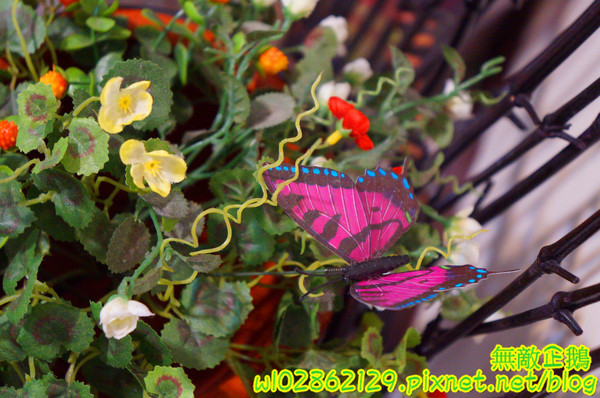 夢森林鮮果冰淇淋:【台南-東區】水果纖維x冰淇淋...打造屬於自己的冰淇淋...《夢森林鮮果冰淇淋》