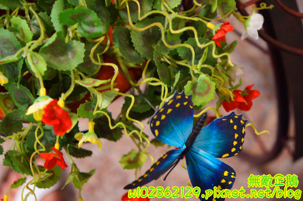 夢森林鮮果冰淇淋:【台南-東區】水果纖維x冰淇淋...打造屬於自己的冰淇淋...《夢森林鮮果冰淇淋》