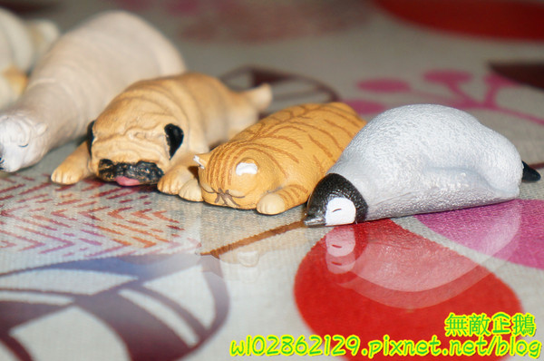 夢森林鮮果冰淇淋:【台南-東區】水果纖維x冰淇淋...打造屬於自己的冰淇淋...《夢森林鮮果冰淇淋》