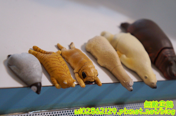 夢森林鮮果冰淇淋:【台南-東區】水果纖維x冰淇淋...打造屬於自己的冰淇淋...《夢森林鮮果冰淇淋》