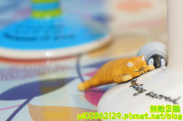 夢森林鮮果冰淇淋:【台南-東區】水果纖維x冰淇淋...打造屬於自己的冰淇淋...《夢森林鮮果冰淇淋》