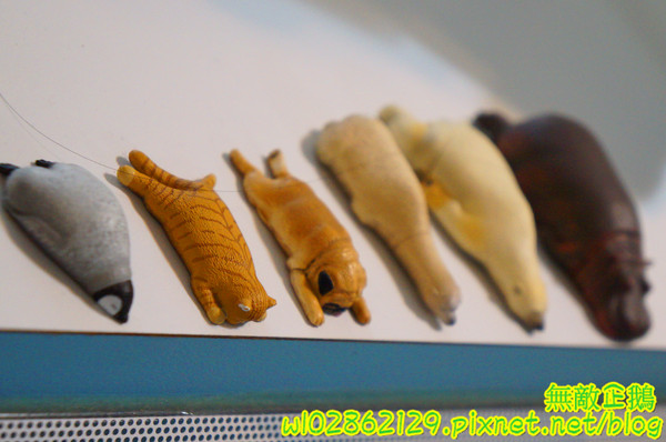 夢森林鮮果冰淇淋:【台南-東區】水果纖維x冰淇淋...打造屬於自己的冰淇淋...《夢森林鮮果冰淇淋》