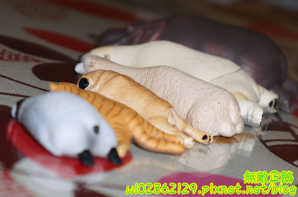 夢森林鮮果冰淇淋:【台南-東區】水果纖維x冰淇淋...打造屬於自己的冰淇淋...《夢森林鮮果冰淇淋》