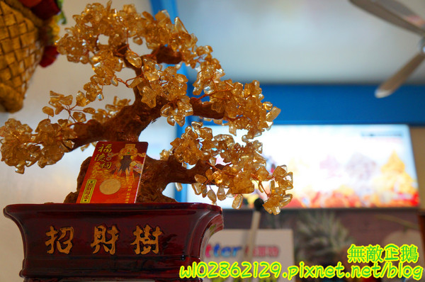 夢森林鮮果冰淇淋:【台南-東區】水果纖維x冰淇淋...打造屬於自己的冰淇淋...《夢森林鮮果冰淇淋》