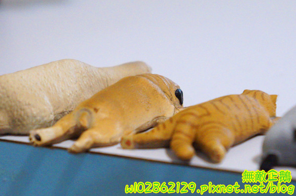 夢森林鮮果冰淇淋:【台南-東區】水果纖維x冰淇淋...打造屬於自己的冰淇淋...《夢森林鮮果冰淇淋》