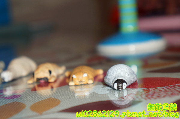 夢森林鮮果冰淇淋:【台南-東區】水果纖維x冰淇淋...打造屬於自己的冰淇淋...《夢森林鮮果冰淇淋》