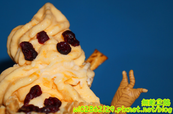 夢森林鮮果冰淇淋:【台南-東區】水果纖維x冰淇淋...打造屬於自己的冰淇淋...《夢森林鮮果冰淇淋》