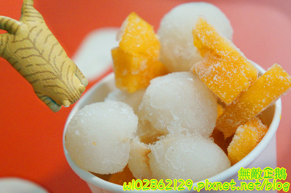 夢森林鮮果冰淇淋:【台南-東區】水果纖維x冰淇淋...打造屬於自己的冰淇淋...《夢森林鮮果冰淇淋》