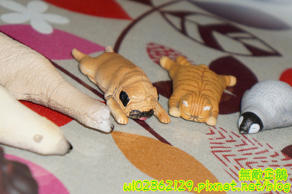 夢森林鮮果冰淇淋:【台南-東區】水果纖維x冰淇淋...打造屬於自己的冰淇淋...《夢森林鮮果冰淇淋》