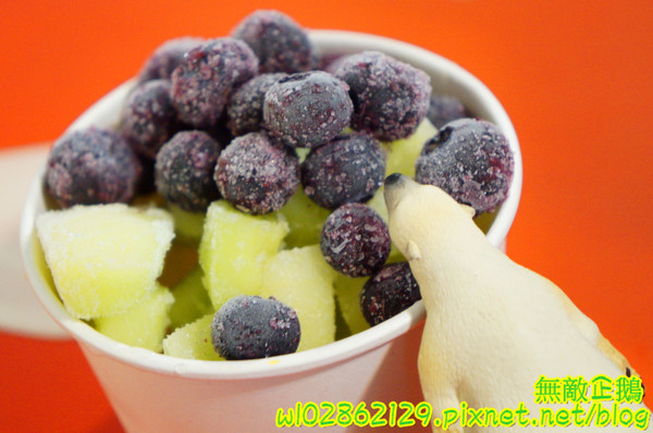 夢森林鮮果冰淇淋:【台南-東區】水果纖維x冰淇淋...打造屬於自己的冰淇淋...《夢森林鮮果冰淇淋》