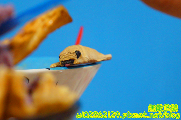 夢森林鮮果冰淇淋:【台南-東區】水果纖維x冰淇淋...打造屬於自己的冰淇淋...《夢森林鮮果冰淇淋》