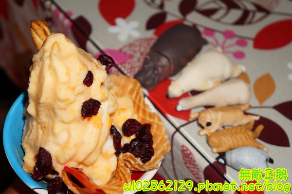 夢森林鮮果冰淇淋:【台南-東區】水果纖維x冰淇淋...打造屬於自己的冰淇淋...《夢森林鮮果冰淇淋》