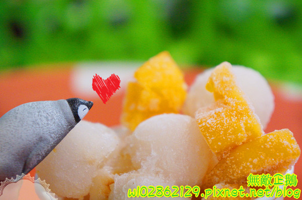 夢森林鮮果冰淇淋:【台南-東區】水果纖維x冰淇淋...打造屬於自己的冰淇淋...《夢森林鮮果冰淇淋》