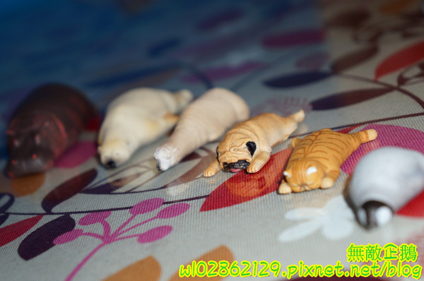 夢森林鮮果冰淇淋:【台南-東區】水果纖維x冰淇淋...打造屬於自己的冰淇淋...《夢森林鮮果冰淇淋》