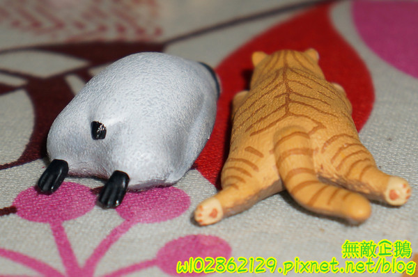 夢森林鮮果冰淇淋:【台南-東區】水果纖維x冰淇淋...打造屬於自己的冰淇淋...《夢森林鮮果冰淇淋》