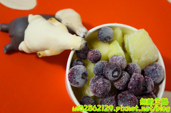 夢森林鮮果冰淇淋:【台南-東區】水果纖維x冰淇淋...打造屬於自己的冰淇淋...《夢森林鮮果冰淇淋》