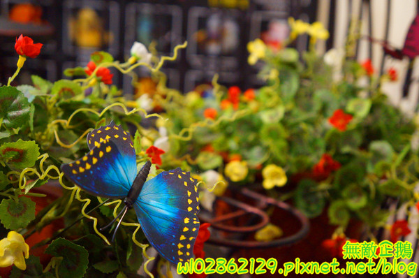 夢森林鮮果冰淇淋:【台南-東區】水果纖維x冰淇淋...打造屬於自己的冰淇淋...《夢森林鮮果冰淇淋》