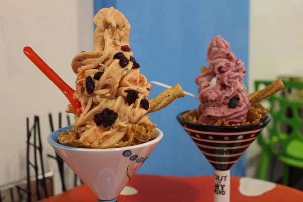 夢森林鮮果冰淇淋：[台南]健康好吃 現打水果冰淇淋 夢森林鮮果冰淇淋