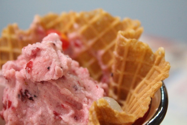 夢森林鮮果冰淇淋：[台南]健康好吃 現打水果冰淇淋 夢森林鮮果冰淇淋