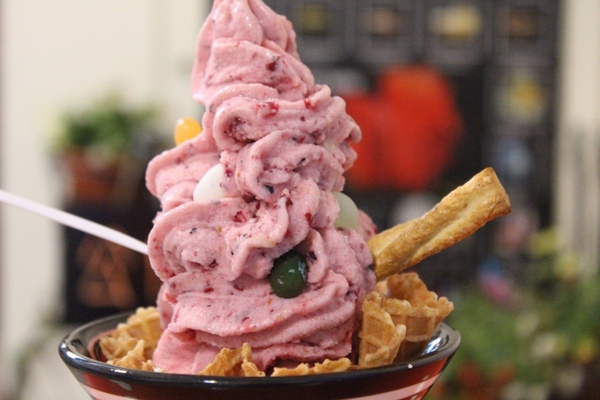 夢森林鮮果冰淇淋：[台南]健康好吃 現打水果冰淇淋 夢森林鮮果冰淇淋