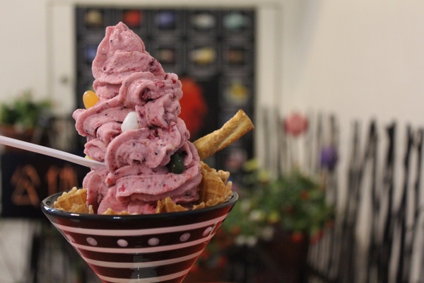 夢森林鮮果冰淇淋：[台南]健康好吃 現打水果冰淇淋 夢森林鮮果冰淇淋