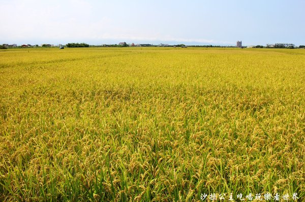 宜蘭三奇村伯朗大道:宜蘭冬山景點『三奇伯朗大道』這樣的美景再熱都要朝聖