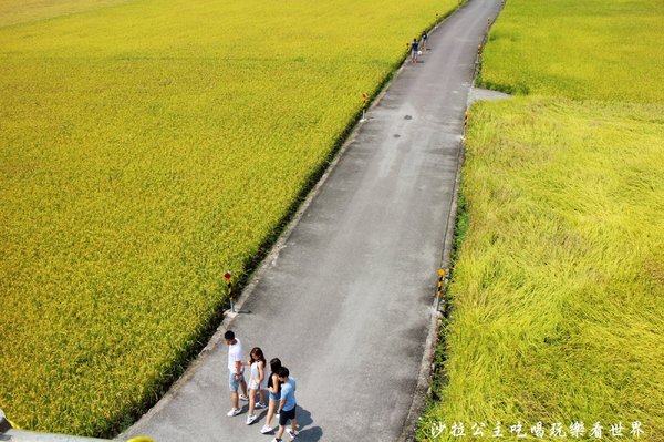 宜蘭三奇村伯朗大道:宜蘭冬山景點『三奇伯朗大道』這樣的美景再熱都要朝聖