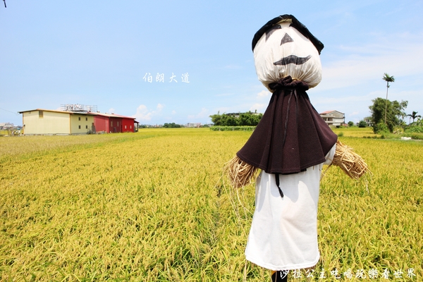 宜蘭三奇村伯朗大道:宜蘭冬山景點『三奇伯朗大道』這樣的美景再熱都要朝聖