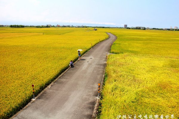 宜蘭三奇村伯朗大道:宜蘭冬山景點『三奇伯朗大道』這樣的美景再熱都要朝聖