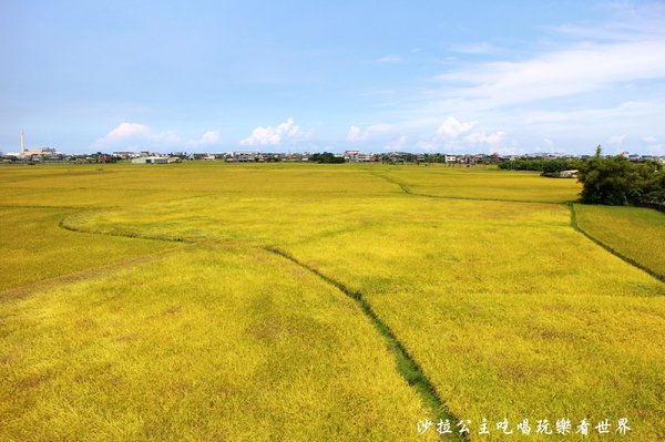 宜蘭三奇村伯朗大道:宜蘭冬山景點『三奇伯朗大道』這樣的美景再熱都要朝聖