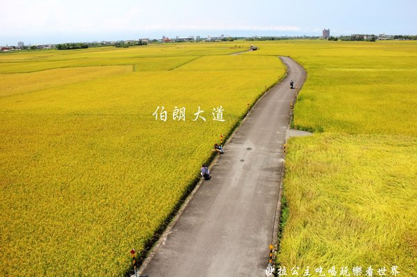 宜蘭三奇村伯朗大道:宜蘭冬山景點『三奇伯朗大道』這樣的美景再熱都要朝聖