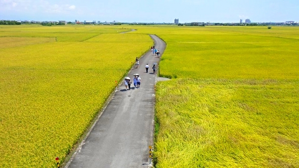 宜蘭三奇村伯朗大道：【宜蘭景點】宜蘭三奇農伯朗大道~旅遊夜市趴趴走/滿分的旅遊札記/小芝芝ღ美食ღ遊樂ღ小天地趴趴GO