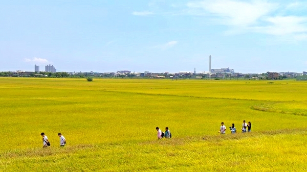宜蘭三奇村伯朗大道：【宜蘭景點】宜蘭三奇農伯朗大道~旅遊夜市趴趴走/滿分的旅遊札記/小芝芝ღ美食ღ遊樂ღ小天地趴趴GO