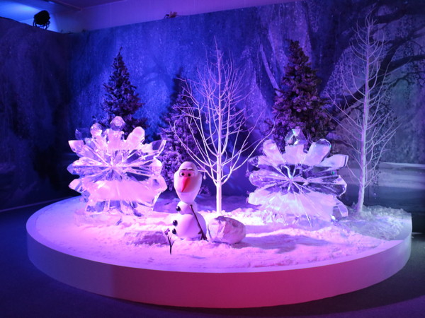 冰雪奇緣冰紛特展：【台北展覽】文末贈票/迪士尼冰雪奇緣 冰紛特展@中正紀念堂