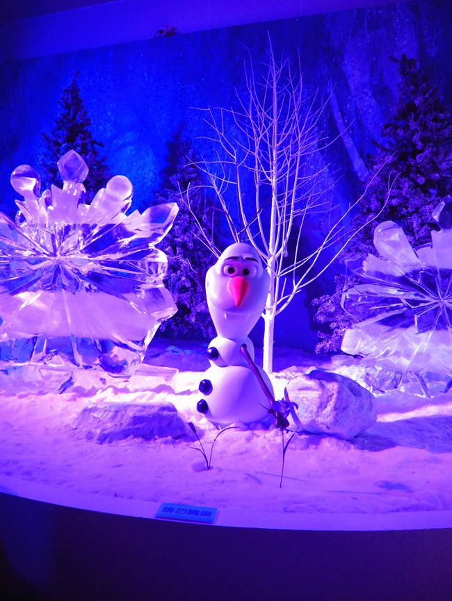 冰雪奇緣特展。走進艾莎女王冰雪王國零下8度C凍感鮮體驗